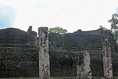 SriLan (316)
